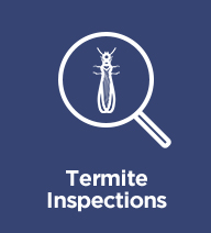 termite-inspections