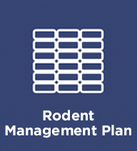 rodent-bait-stations